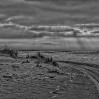 0053_BestOfFanoe_14-21