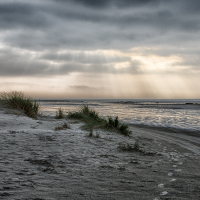 0060_BestOfFanoe_14-21