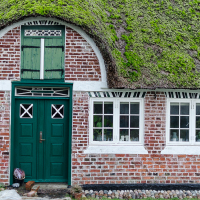 "Alte" Reetdächer sind schnell zu erkennen.