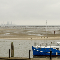 Seehundsandbank am Hafen, im Hintergrund Esb