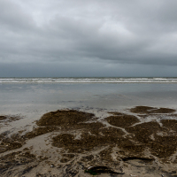0030_BestOfFanoe_14-21