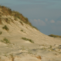 0035_BestOfFanoe_14-21