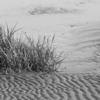 0038_BestOfFanoe_14-21