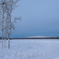 0515_HuntingLight2023