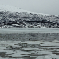 0637_HuntingLight2023