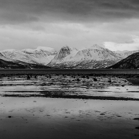 0640_HuntingLight2023