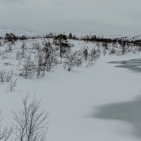 0648_HuntingLight2023