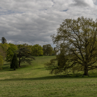 0011_0109_EnglandWalesSued_2025_20250422