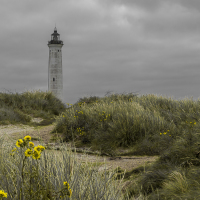 0085_Juetland2025