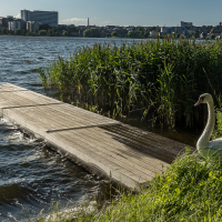 0136_Juetland2025