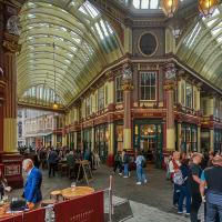 0003_GOPR2733_ALTA2430761656163620080_20250411