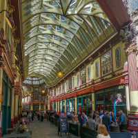 0004_GOPR2735_ALTA2430761656163620080-2_20250411