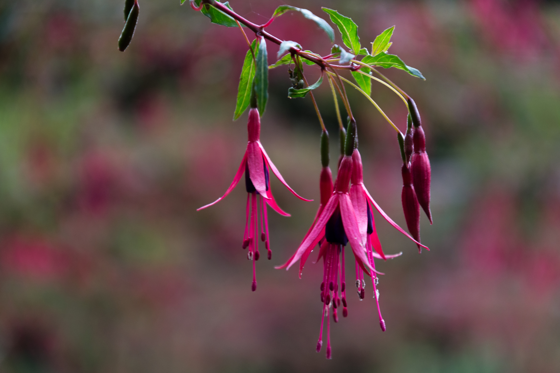 063