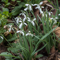 0024_Cornwall_02_2026