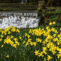 0029_Cornwall_02_2026