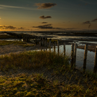 0004_0009_Ribe2020_20200803